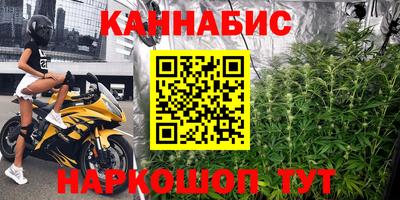 молекула духа Новозыбков