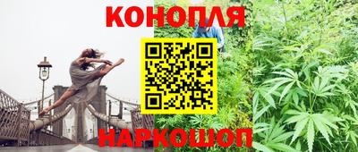 молекула духа Новозыбков