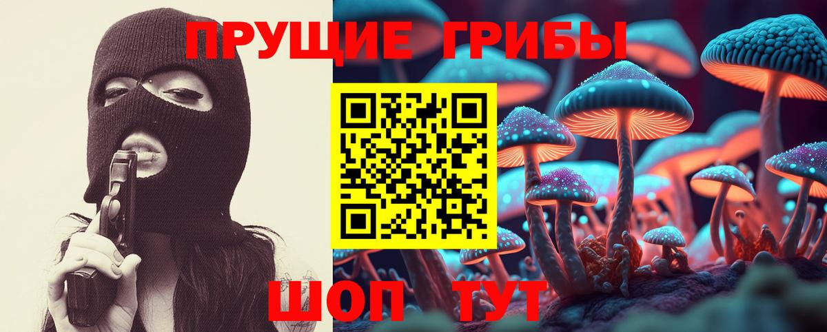 Псилоцибиновые грибы мицелий  Вход с VPN  Галлюциногенные грибы Psilocybe  дарнет шоп  Советский 